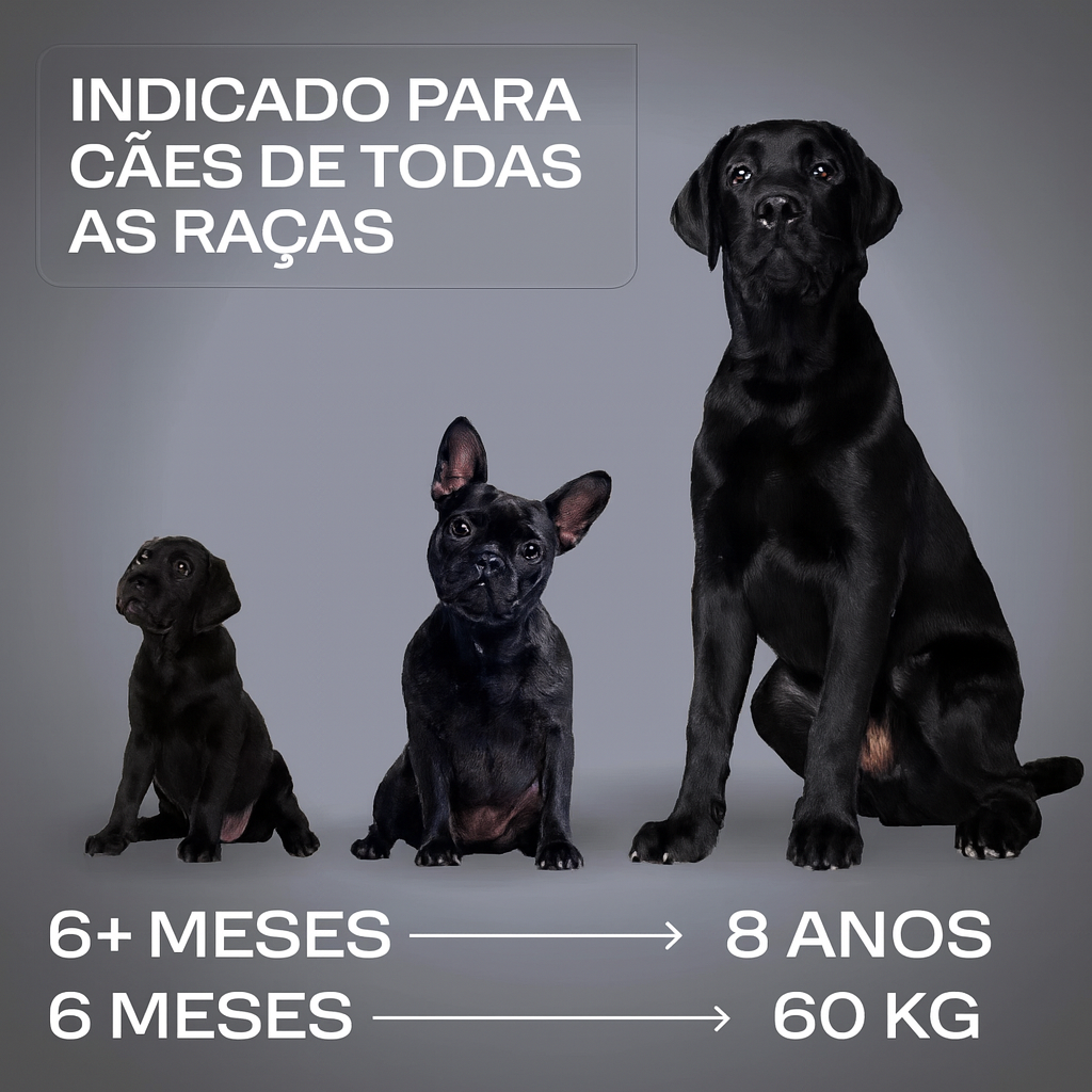 Dispositivo Ultrassónico Anti-Latidos Sem Choque – Seguro, Eficaz e Recarregável por USB 🐶🔇✨