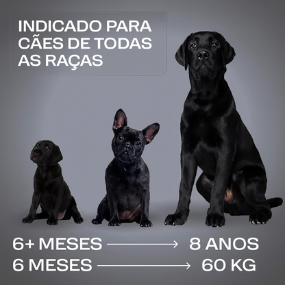 Dispositivo Ultrassónico Anti-Latidos Sem Choque – Seguro, Eficaz e Recarregável por USB 🐶🔇✨